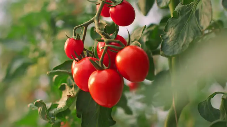 Istockphoto 1289186658 640x640 1